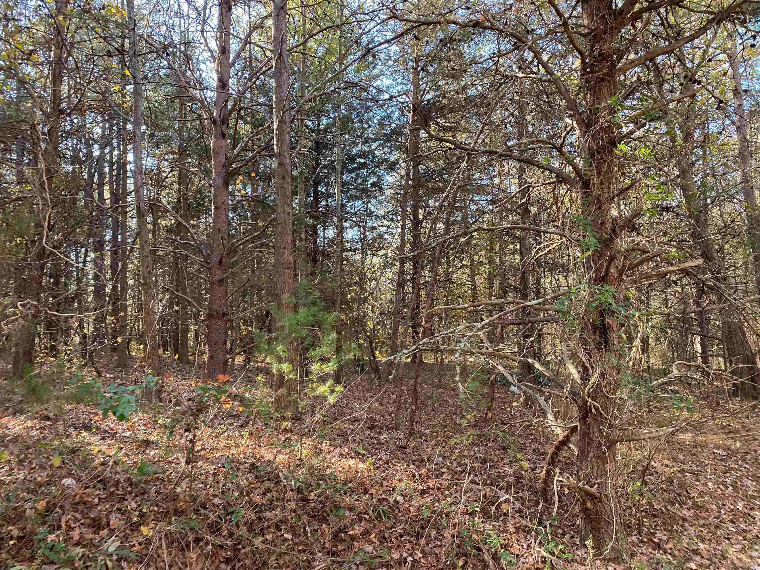 0 Shamrock Road Chesnee, SC 29323 - Photo 2 of 6