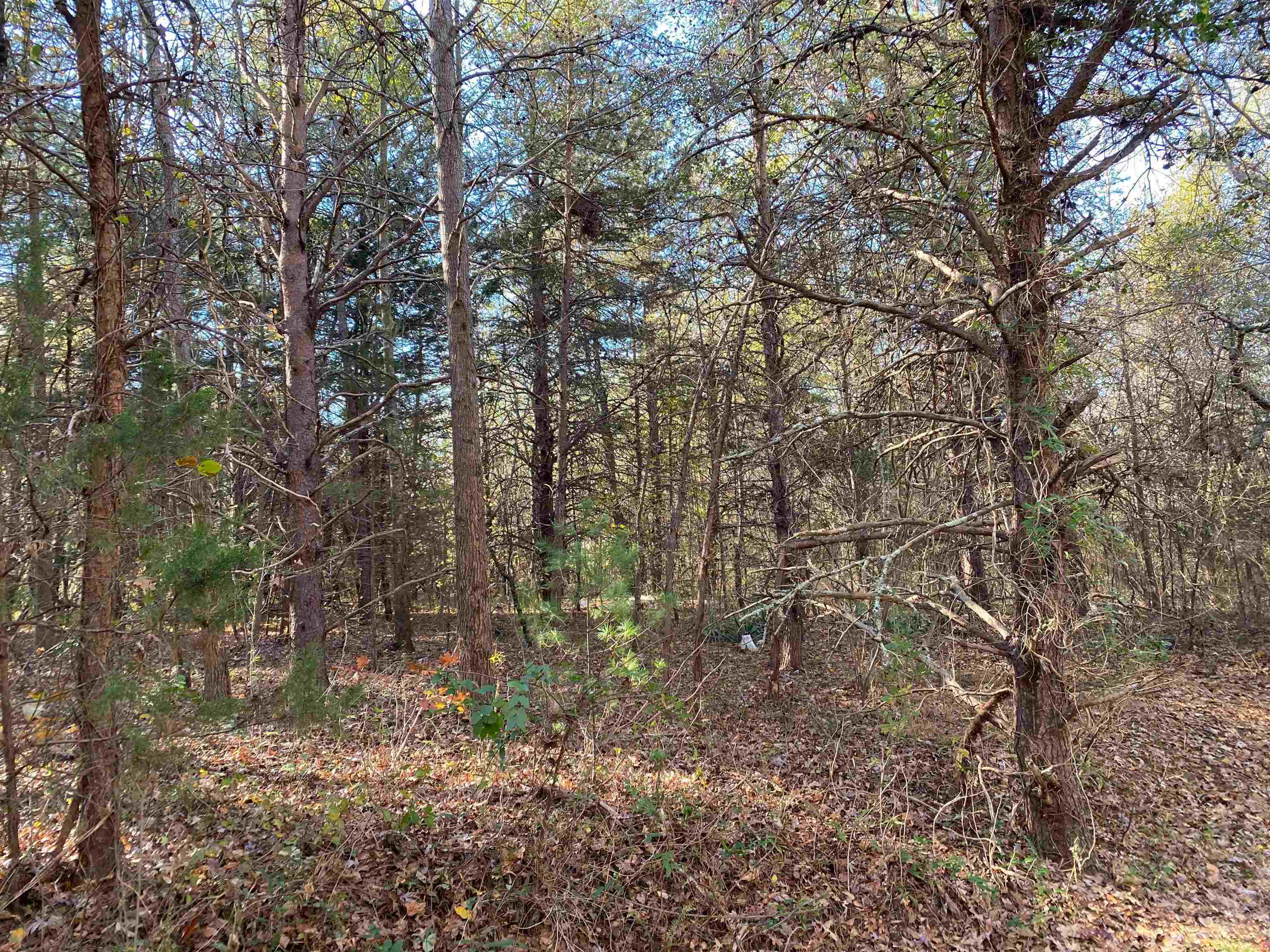 0 Shamrock Road Chesnee, SC 29323 - Photo 6 of 6