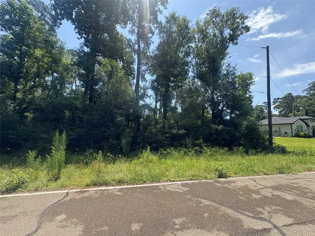 a view of backyard with green space
