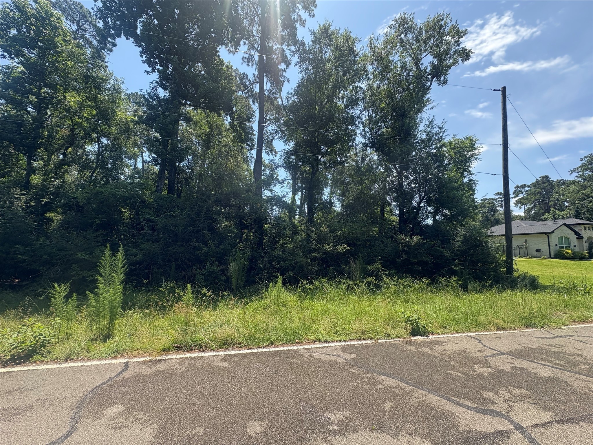 a view of backyard with green space