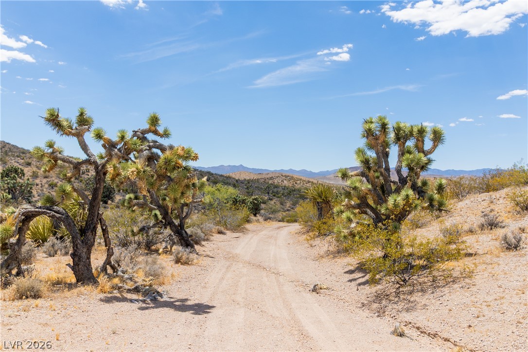 Rocking S Ranch Road Searchlight, NV 89046 - Photo 42 of 47 A desert vista reveals a winding path through native Joshua trees and distant mountains.
