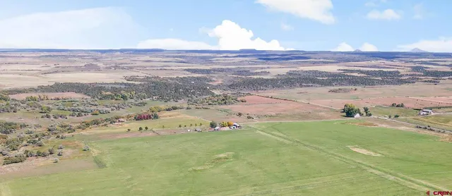 a view of beach and ocean