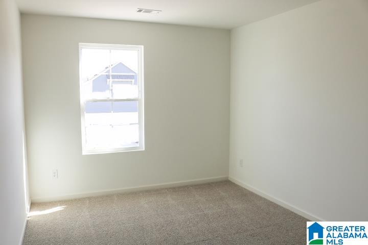 254 Chelsea Park Road Chelsea, AL 35043 - Photo 11 of 33