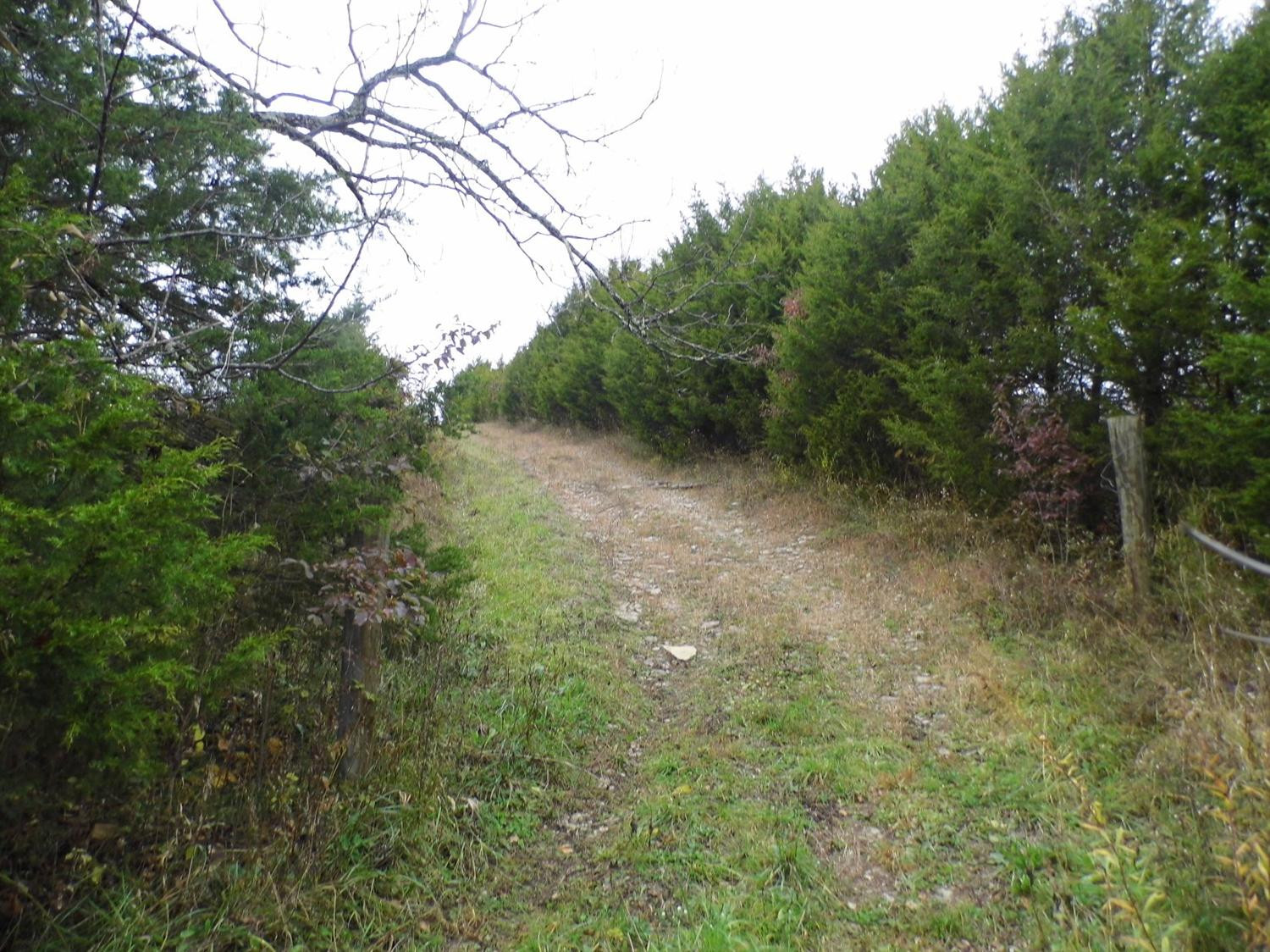 1 Fallis Run Road Harrodsburg, KY 40330 - Photo 7 of 8 Photo 7
