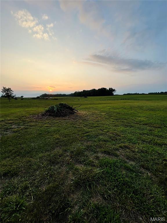 4243 Bushy Prairie Road Waterloo, IL 62298 - Photo 2 of 15