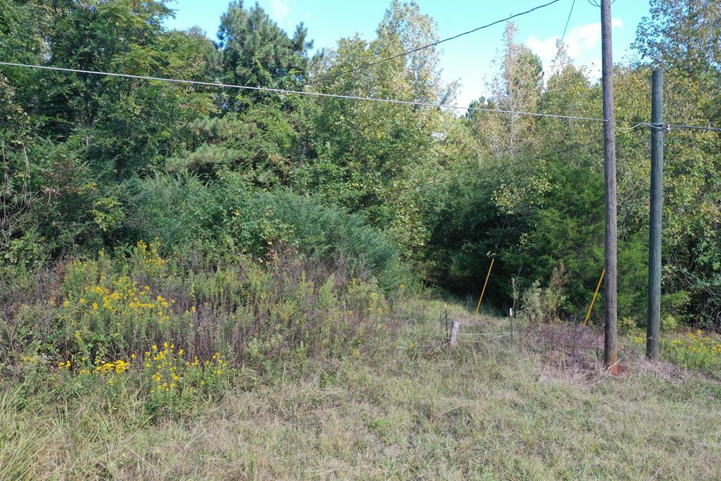 0 R Street Hamilton, GA 31811 - Photo 4 of 9 Easement Entrance