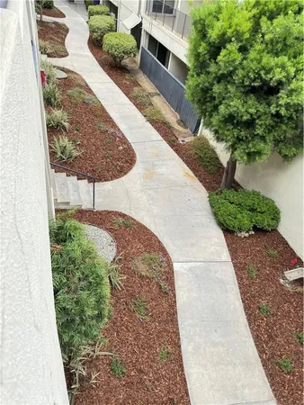 a view of a backyard