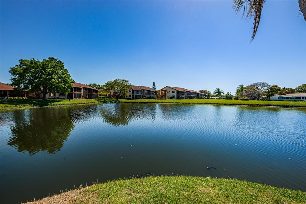 3838 Lanyard Court New Port Richey, FL 34652 - Photo 38 of 60