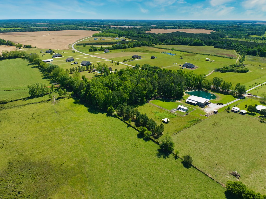 0 Suggs Road Headland, AL 36345 - Photo 7 of 7