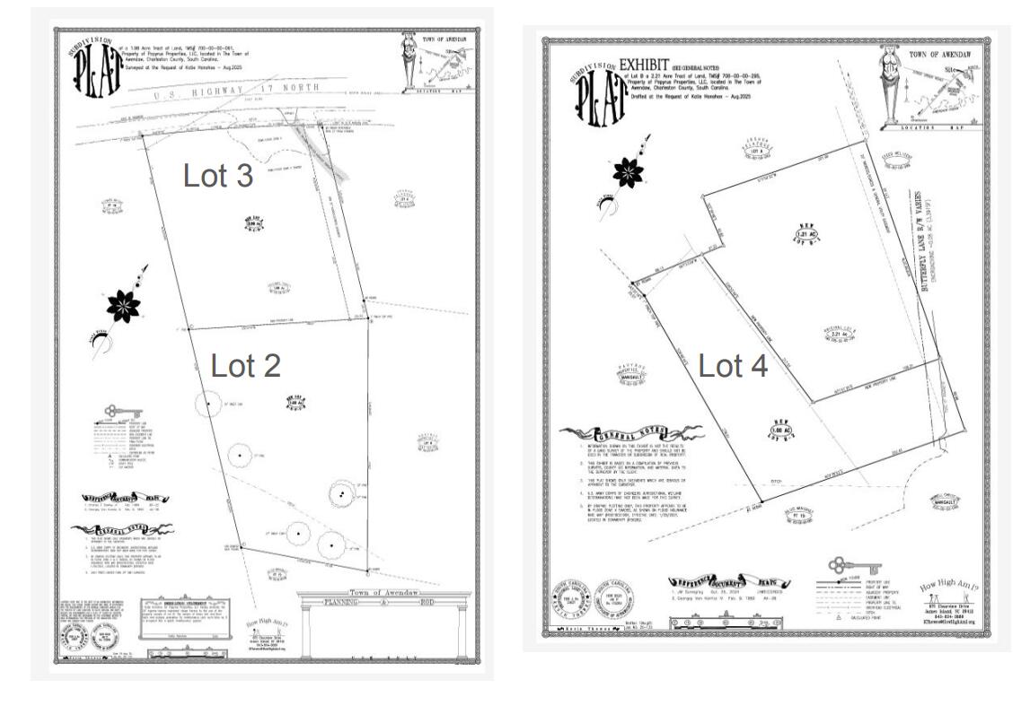 1077 Butterfly Lane Awendaw, SC 29429 - Photo 30 of 30 Lot 2 and 3 plat