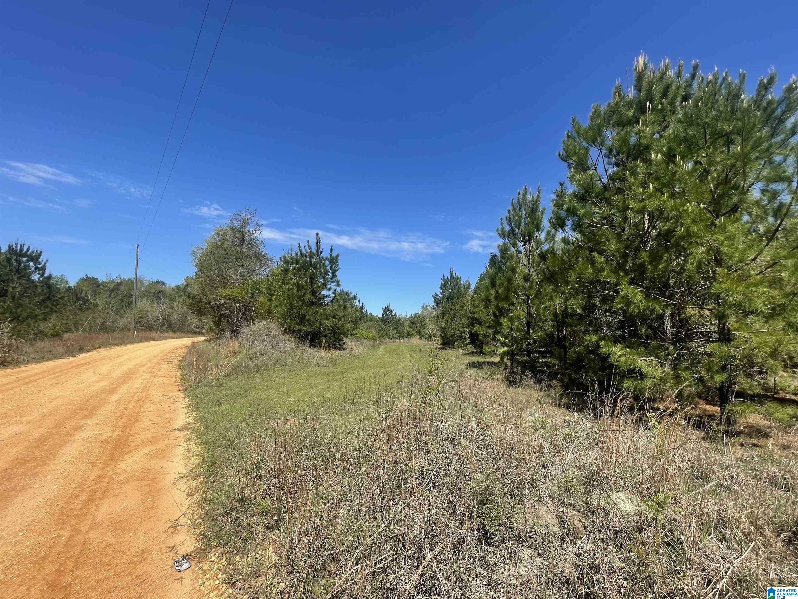 0 Richardson Road Brewton, AL 36426 - Photo 28 of 47