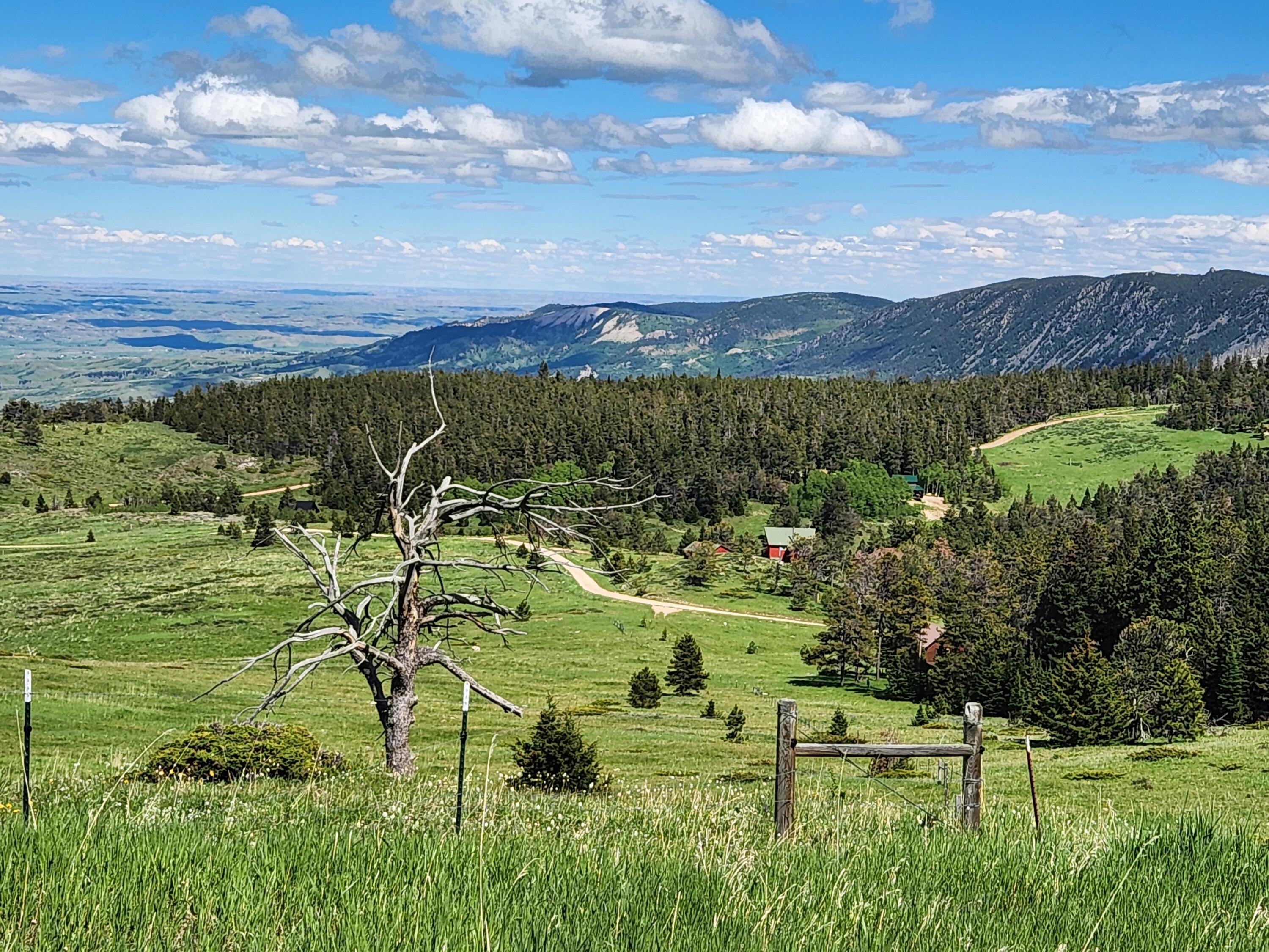 12 Blacktooth Road Big Horn, WY 82833 - Photo 20 of 25 Lot View