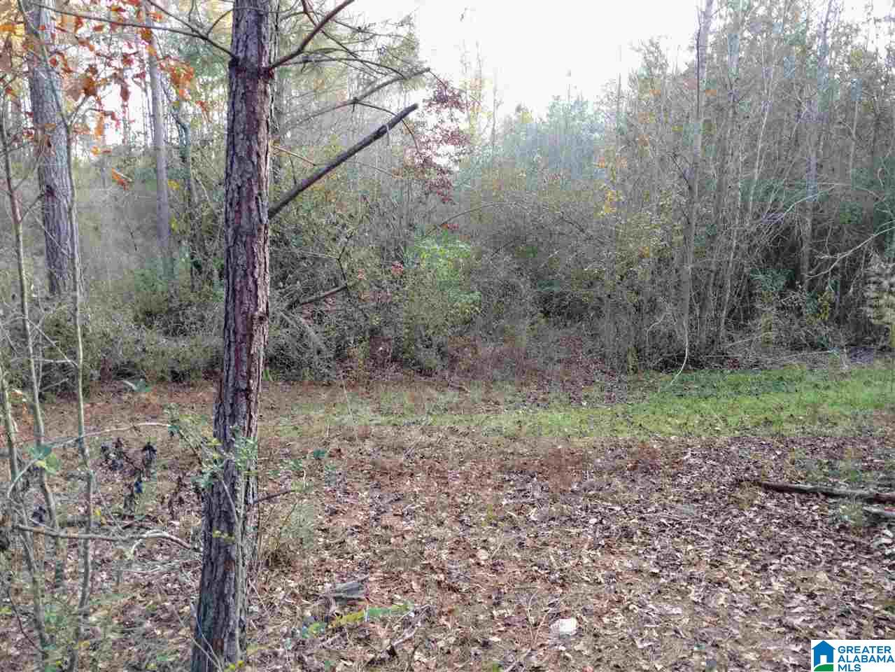 0 Mt Moriah Road, Unit 1 Delta, AL 36258 - Photo 10 of 19
