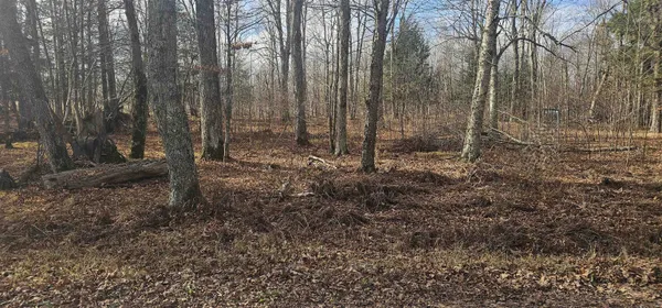 $20,000 | Chip N Dale Drive, Unit 64, Pickerel, WI 54465