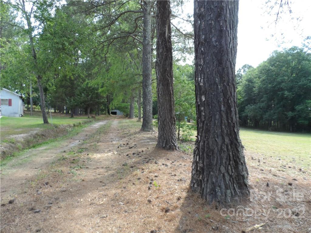 1184 Wilma Sigmon Road Lincolnton, NC 28092 - Photo 13 of 15 a view of a yard with a tree