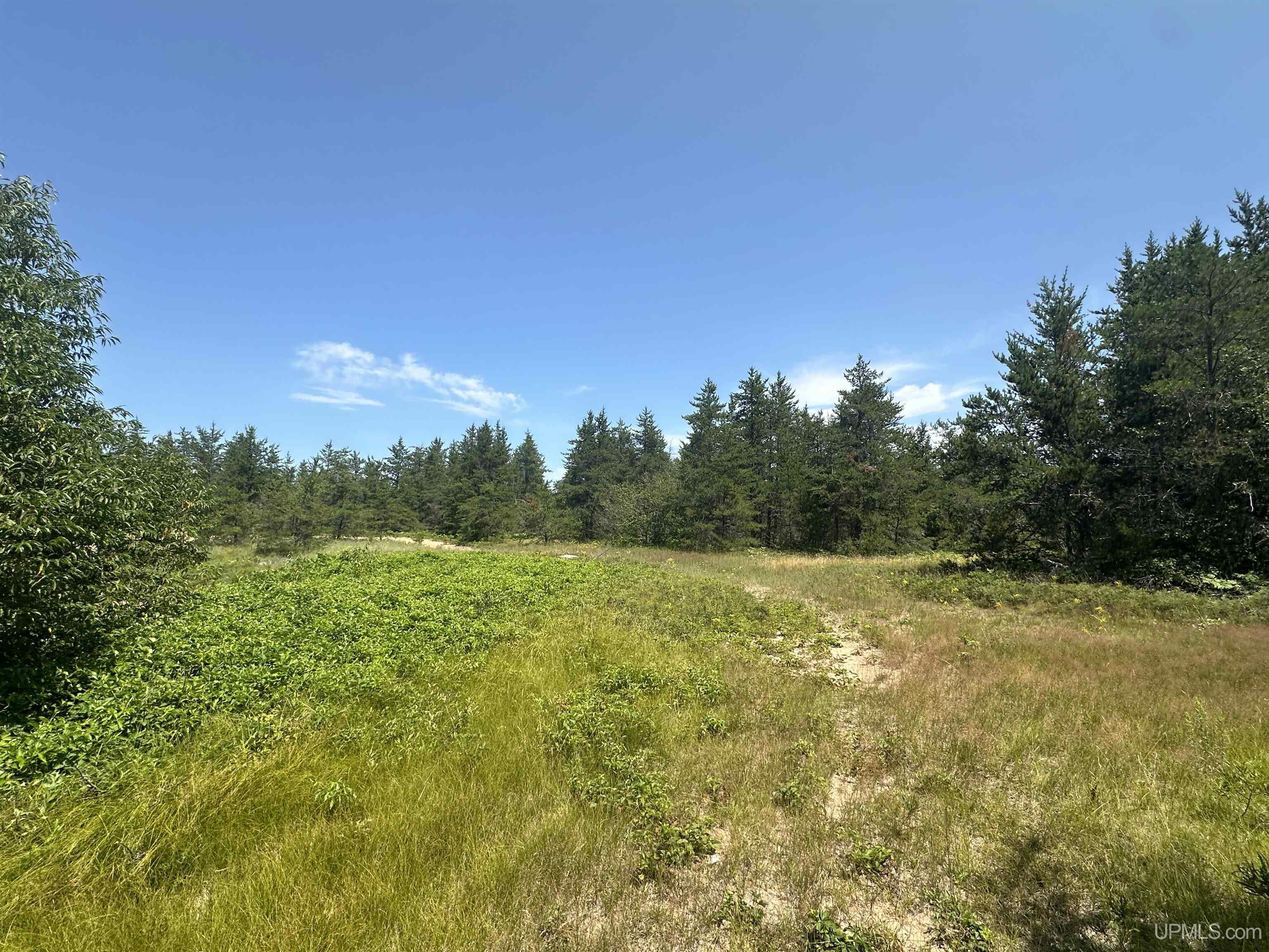 2020-2050 Co Road Little Lake, MI 49833 - Photo 34 of 39