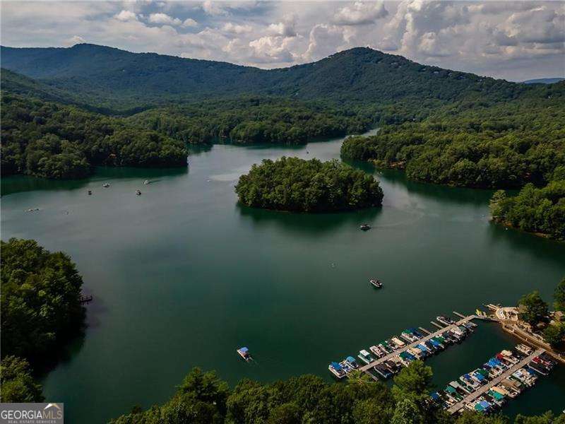 0 Hickory Trail Jasper, GA 30143 - Photo 4 of 14 an aerial view of a house with a lake view