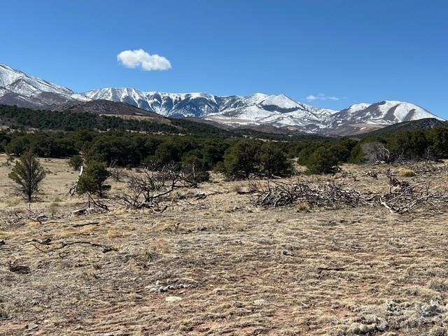 3 B Majors Ranch Road Walsenburg, CO 81089 - Photo 11 of 54