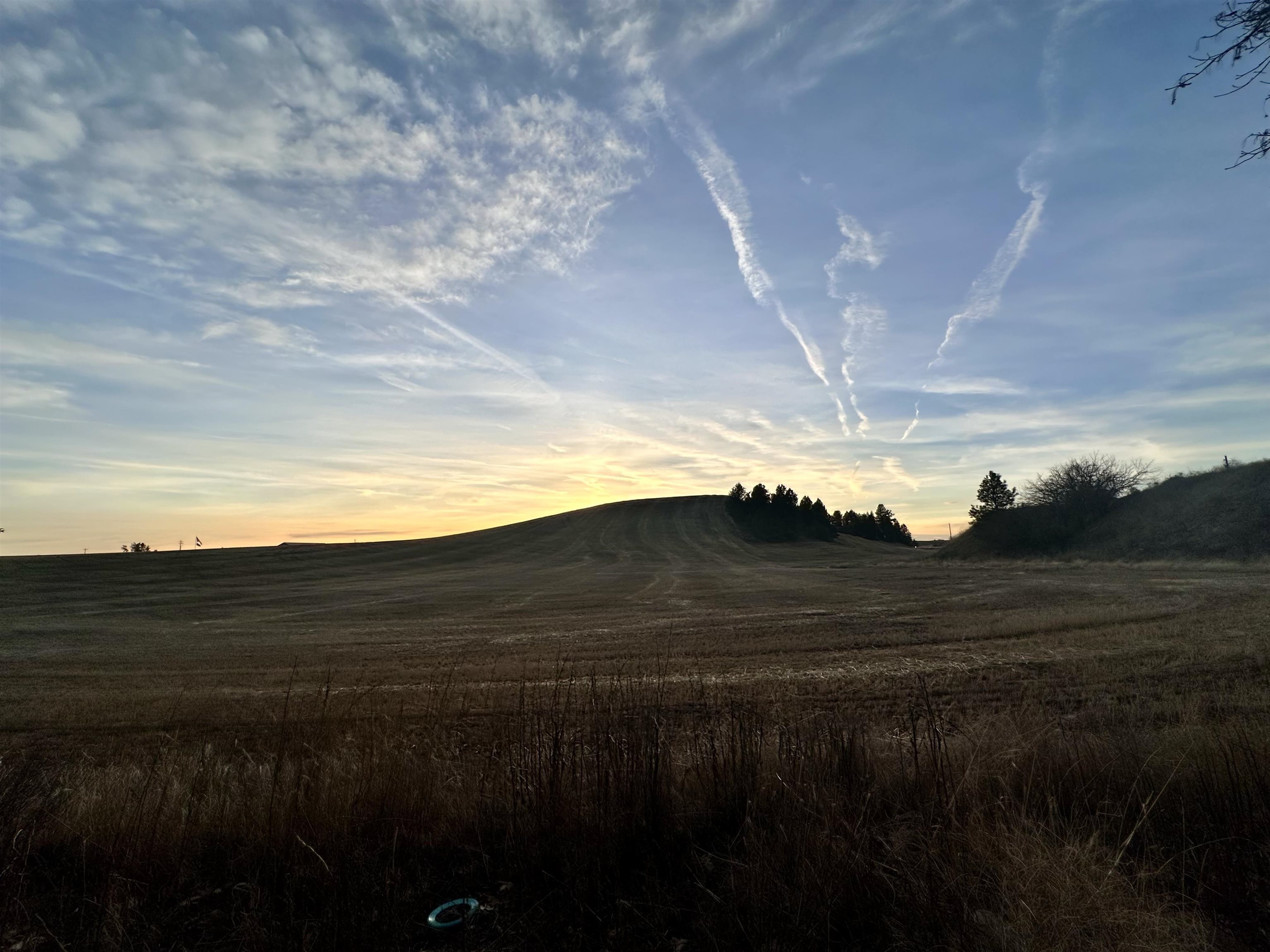 308 Holladay Drive Cheney, WA 99004 - Photo 23 of 34