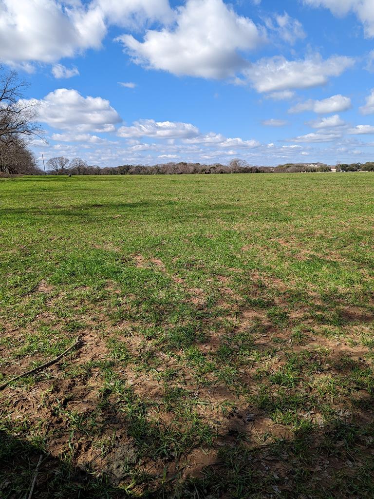 0 County Road 112 Dothan, AL 36303 - Photo 9 of 10