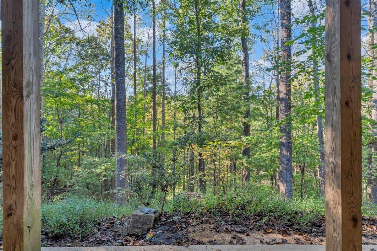 5539 Highfields Road Roanoke, VA 24018 - Photo 45 of 54 45-MIB08760