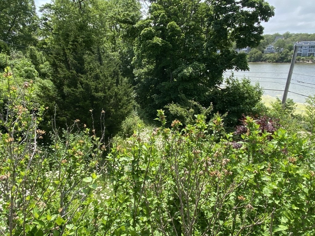 50 Summit Avenue Hull, MA 02045 - Photo 29 of 36