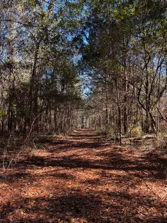 $292,500 | X Hosford Highway, Quincy, FL 32351