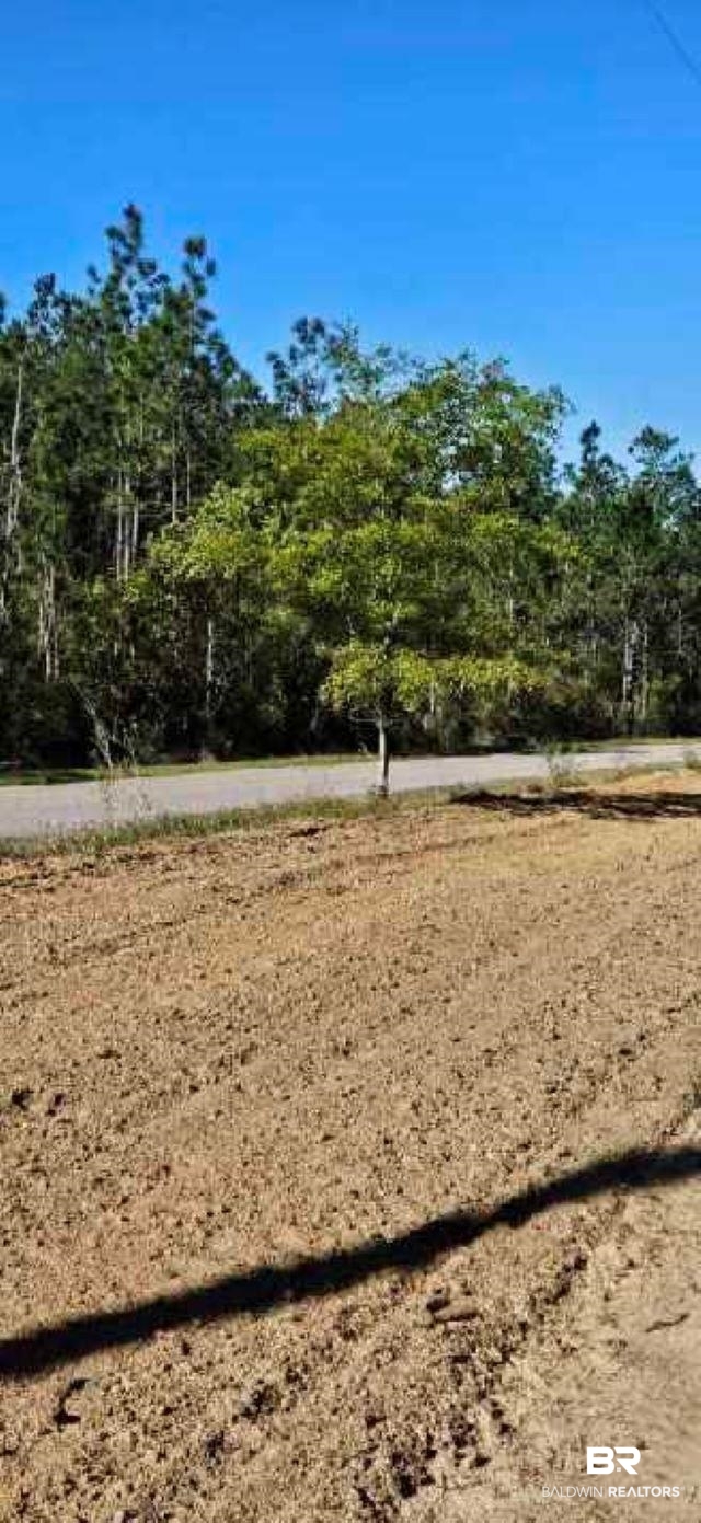 27861 New Hope Church Road Robertsdale, AL 36567 - Photo 20 of 29 View of surrounding community