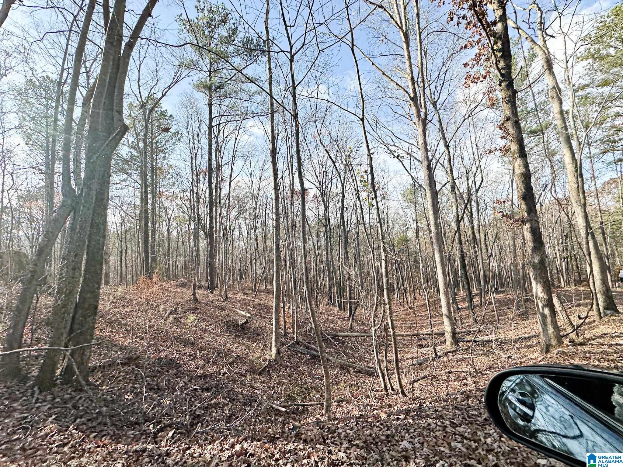 5325 Union T Road Talladega, AL 35160 - Photo 21 of 83