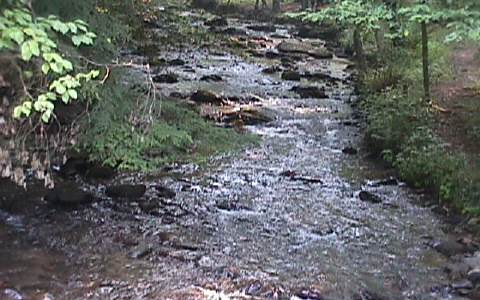 Lot3 Davis Creek Road Murphy, NC 28906 - Photo 1 of 1 Main View