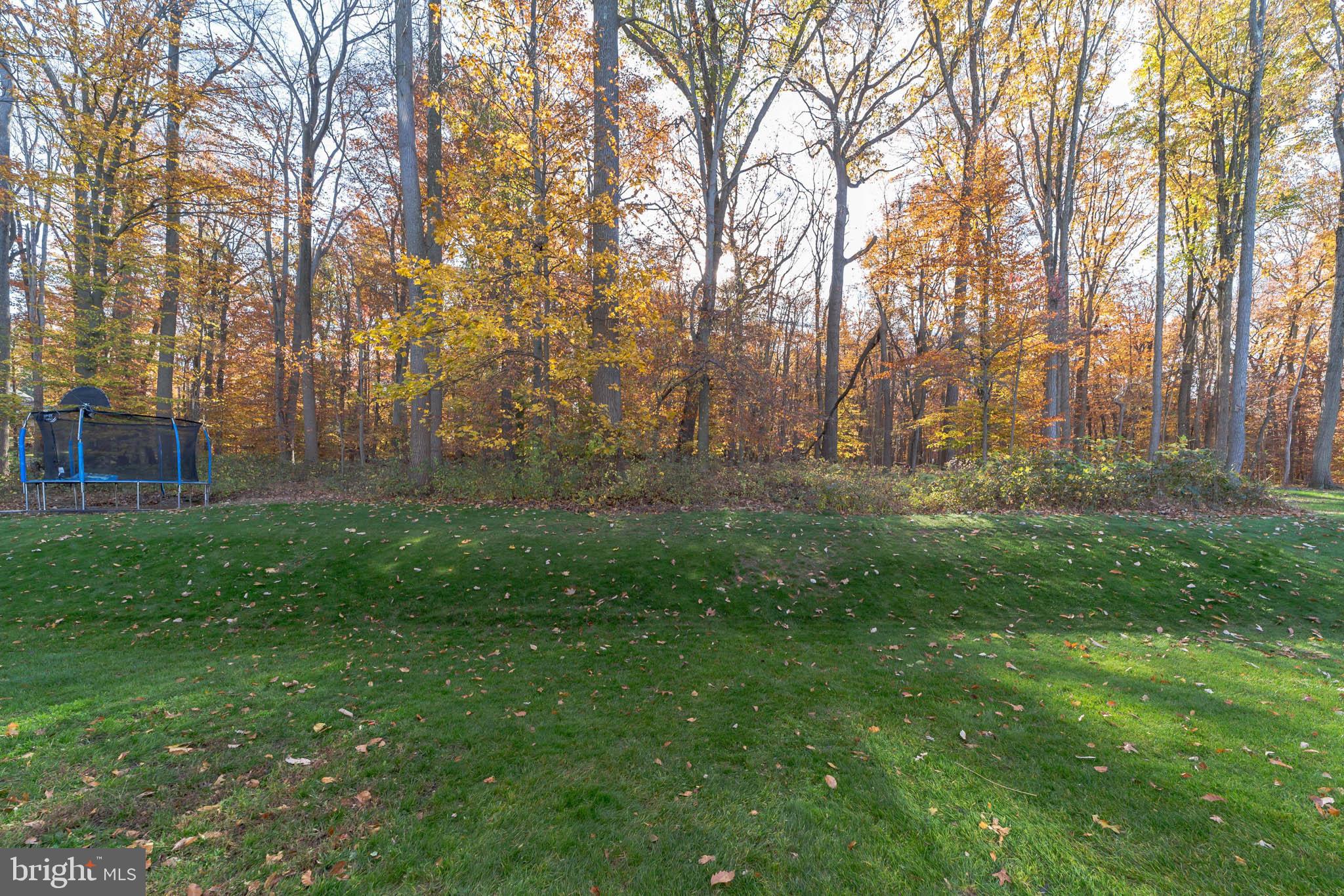709 Grace Way Exton, PA 19341 - Photo 40 of 47 Woods backing to Township Land