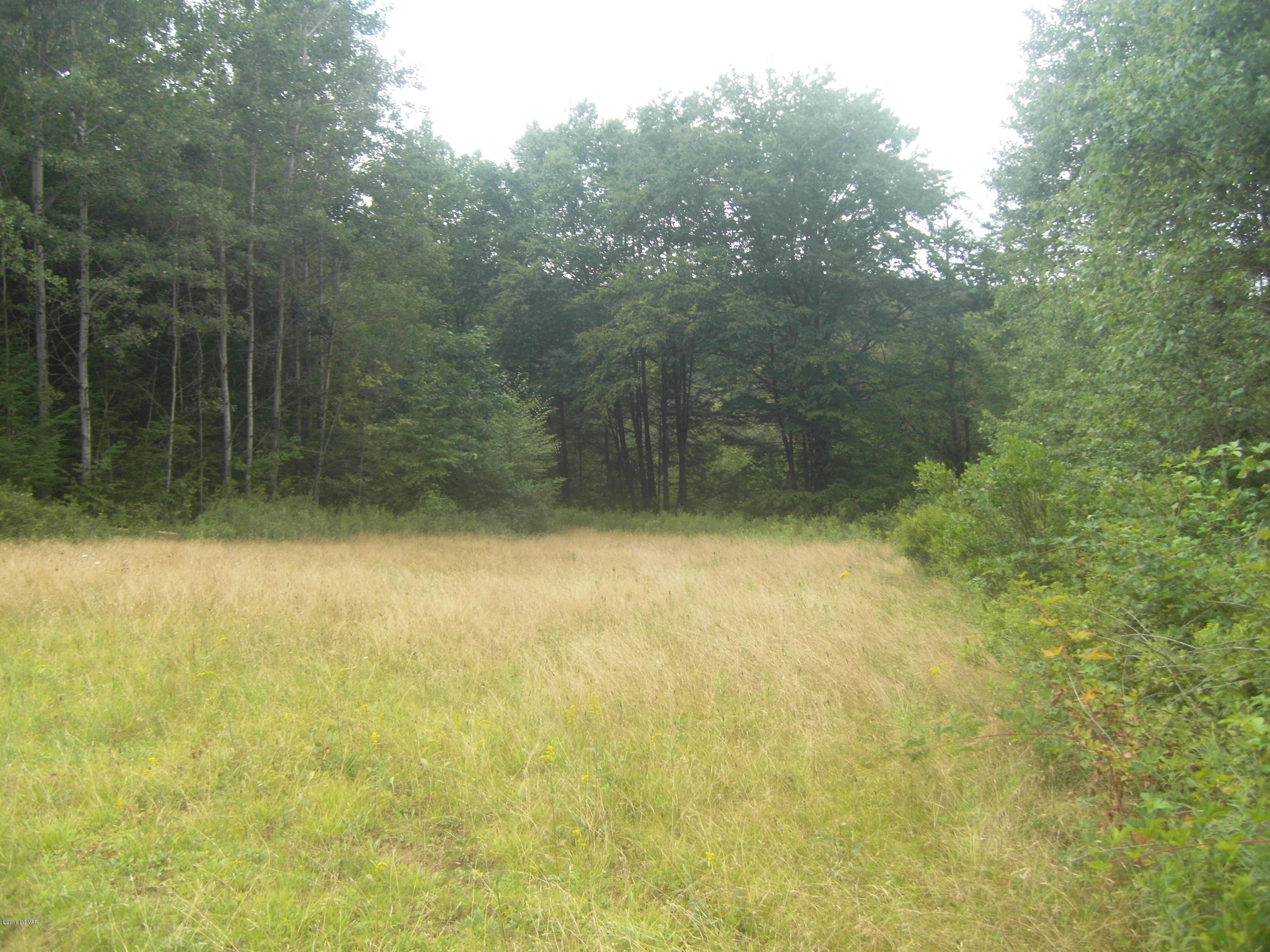 0 Old Farm Road Muncy Valley, PA 17758 - Photo 10 of 12 SDC14564