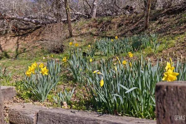 $295,000 | Undisclosed Address, Posey, CA 93260