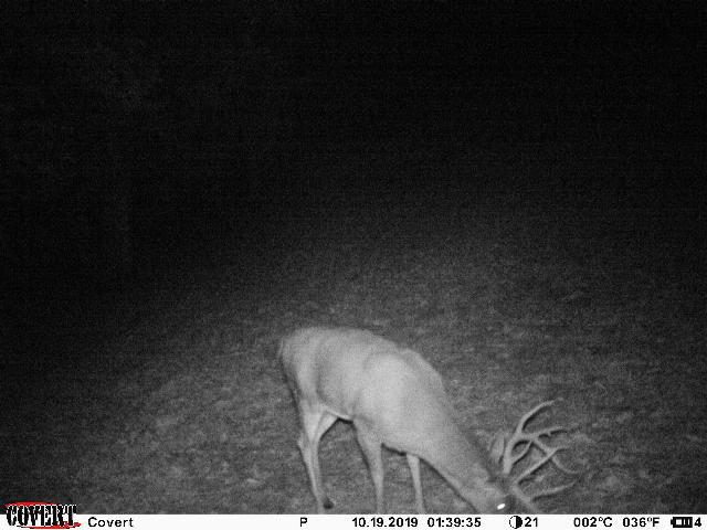 2313 Bucklick Road Jackson, OH 45640 - Photo 34 of 51 IMG_7256