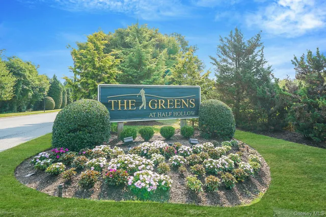 a view of a bunch of flowers