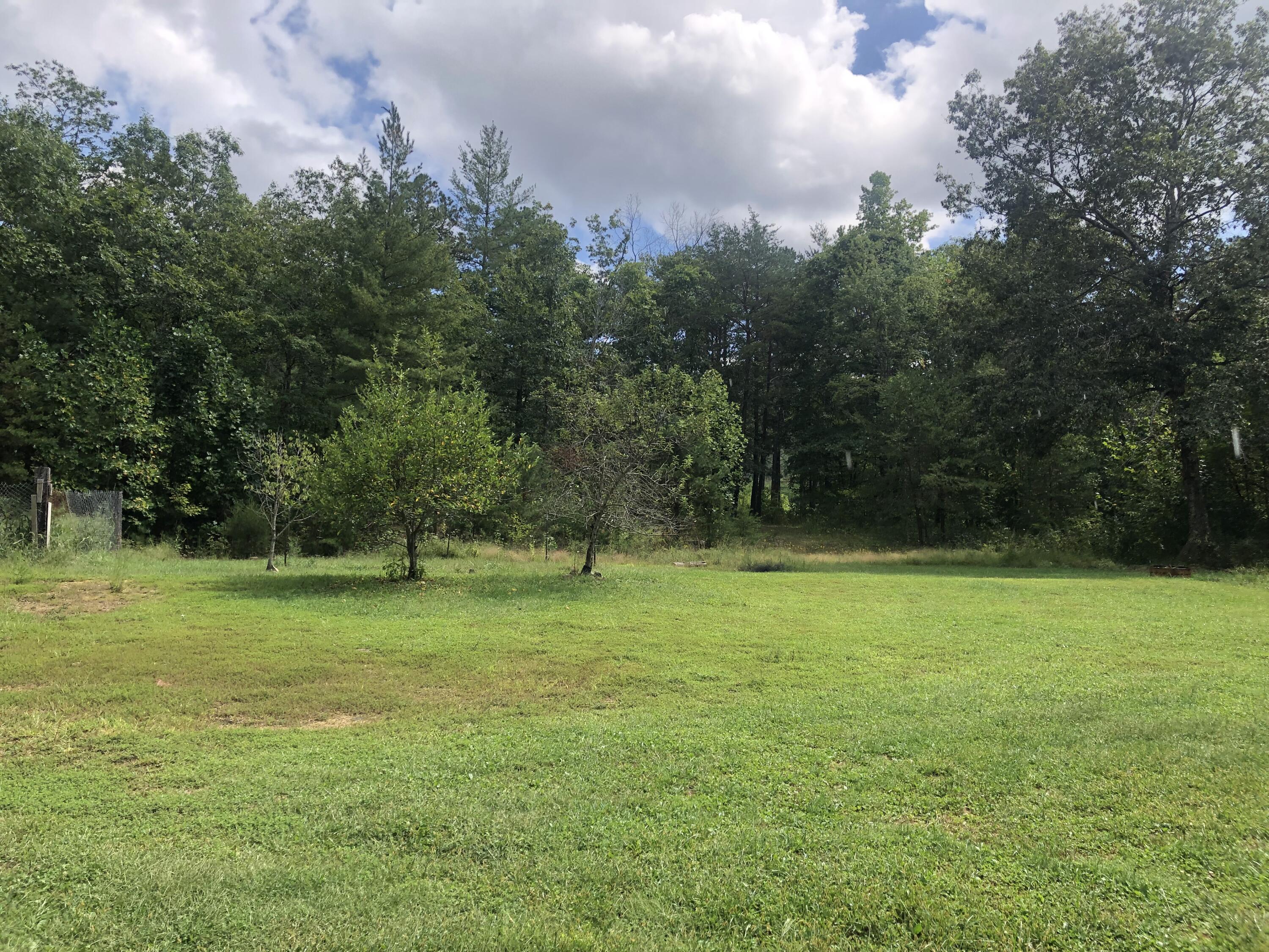 207 Boone Road Covington, VA 24426 - Photo 6 of 18 Back Yard