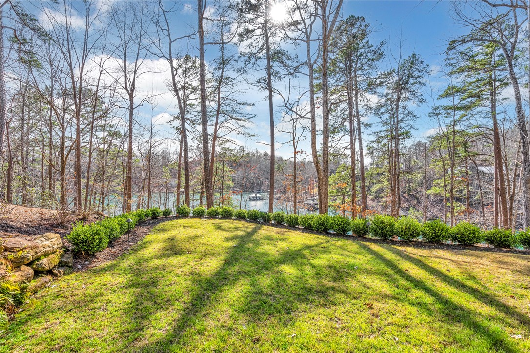 324 South Cove Road Sunset, SC 29685 - Photo 22 of 49