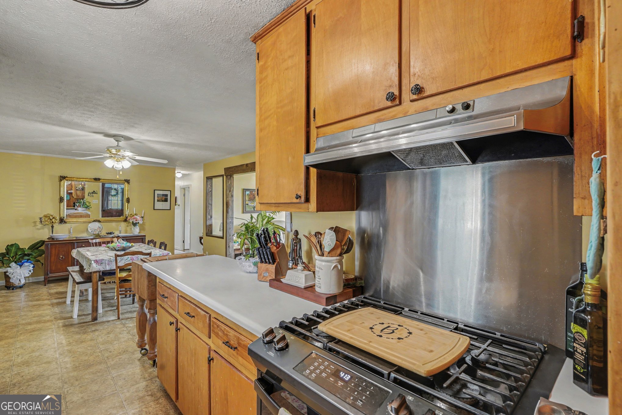 117 Dobbins Mill Road Griffin, GA 30223 - Photo 12 of 27 a kitchen with a stove and a table