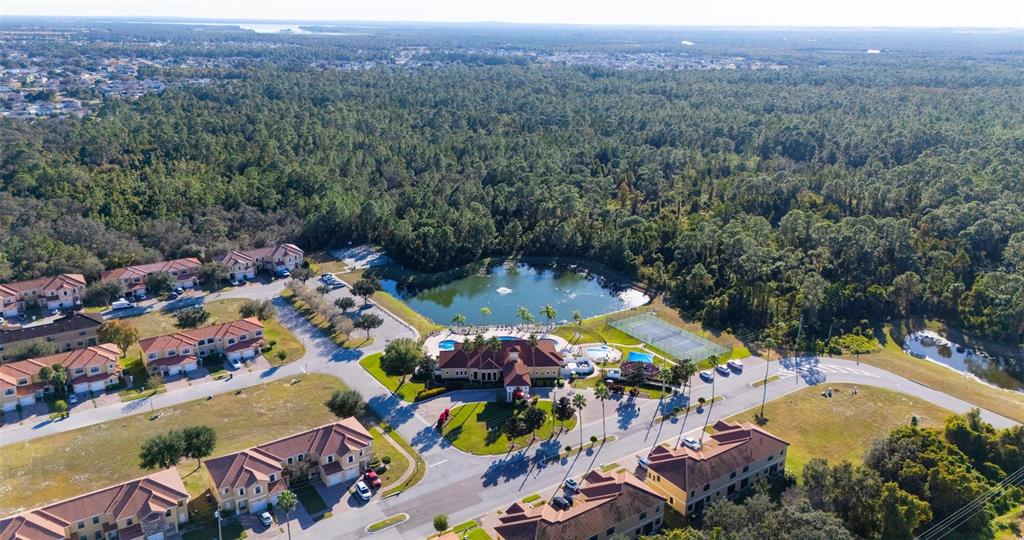1736 Pacific Road Kissimmee, FL 34759 - Photo 4 of 42 an aerial view of a swimming pool patio and mountain view in back