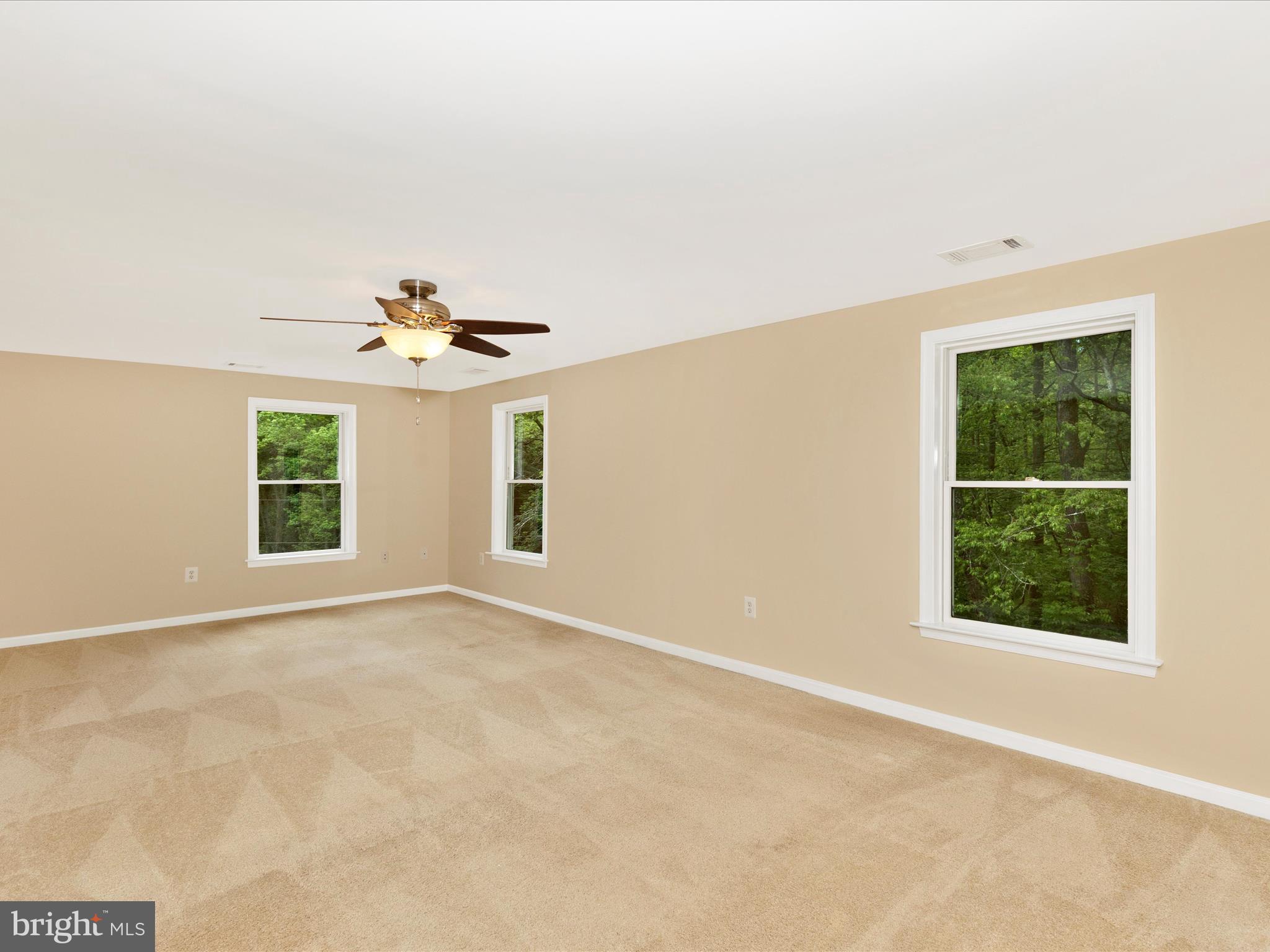 10433 Grindstone Run Road Myersville, MD 21773 - Photo 27 of 42 an empty room with windows and chandelier fan