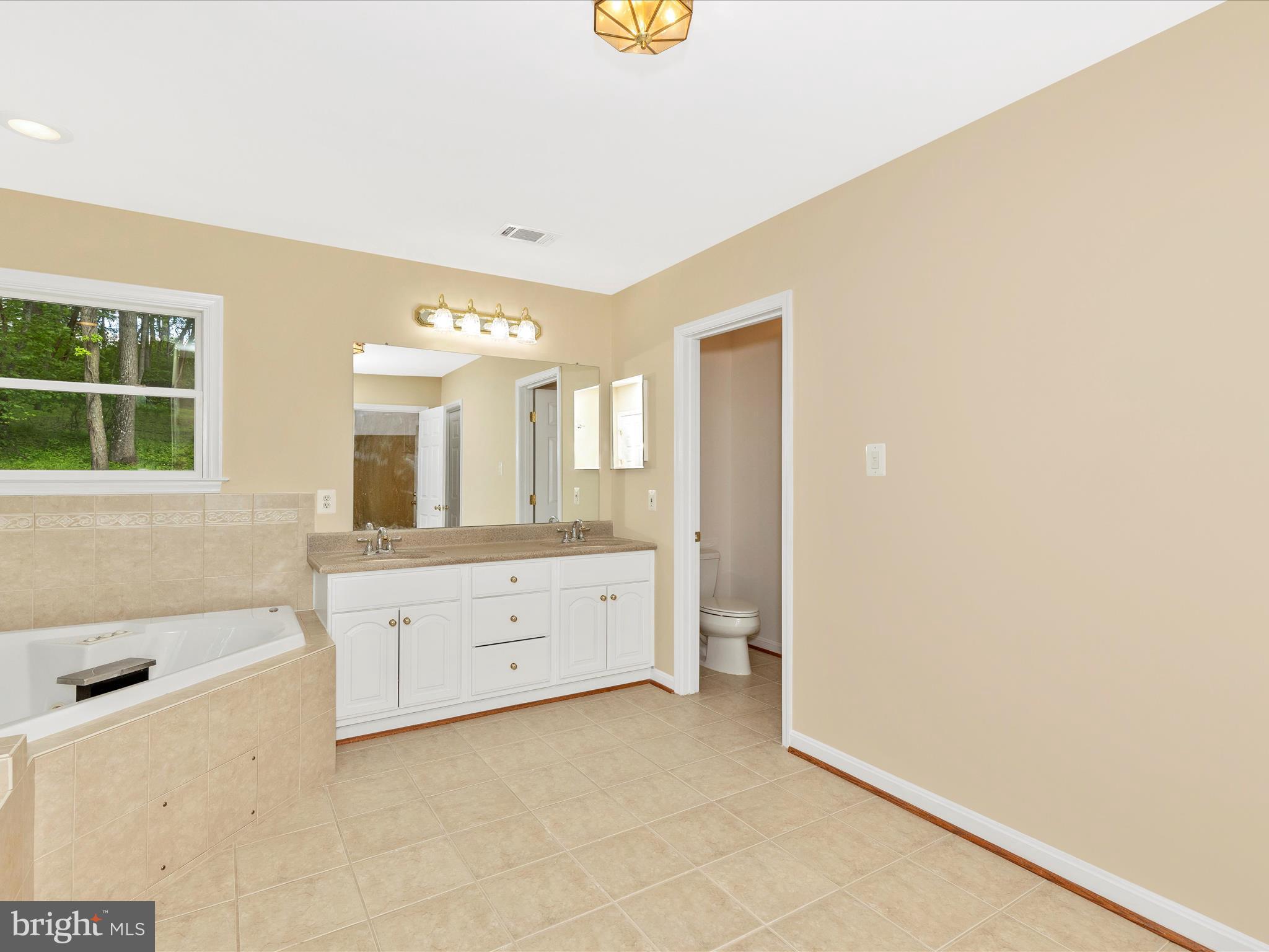 10433 Grindstone Run Road Myersville, MD 21773 - Photo 30 of 42 a spacious bathroom with a double vanity sink a mirror and a bathtub