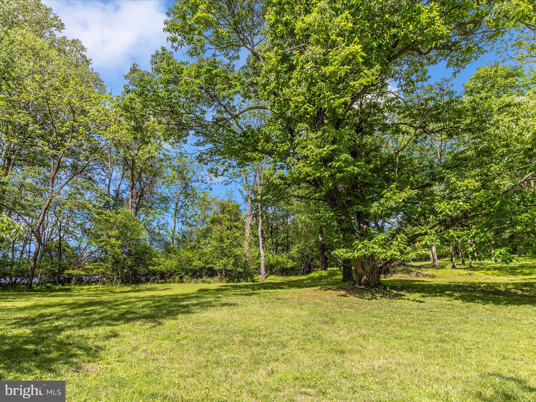10433 Grindstone Run Road Myersville, MD 21773 - Photo 41 of 42 a view of a yard with a trees
