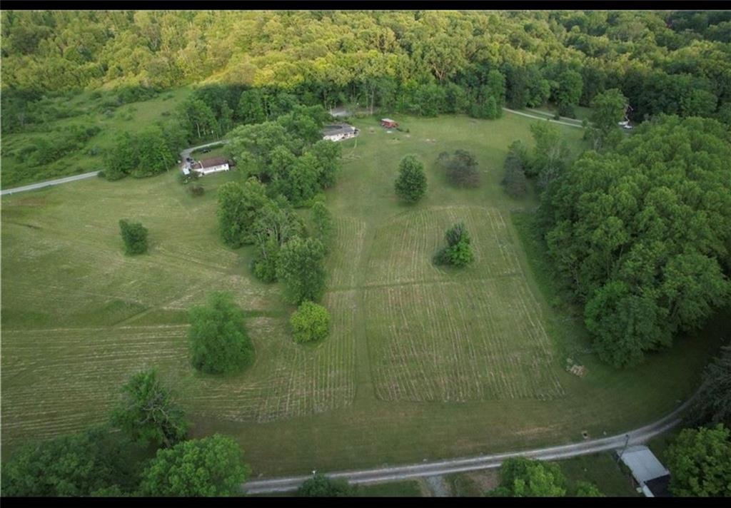 a view of a small yard