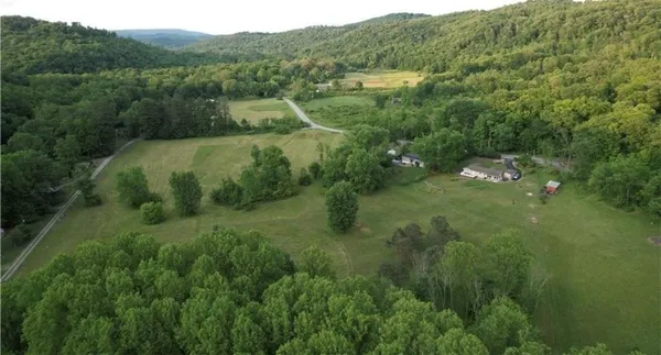 a view of a field with an trees