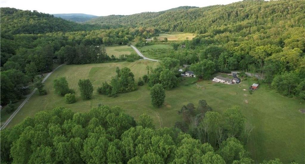 931 Darlington Road Ligonier, PA 15658 - Photo 11 of 16 a view of a lush green forest with lots of trees