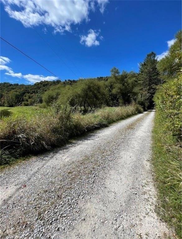 931 Darlington Road Ligonier, PA 15658 - Photo 14 of 16 a view of a yard with an outdoor space