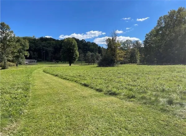 a view of outdoor space and yard