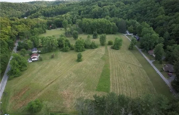 a view of a lush green forest with lots of trees