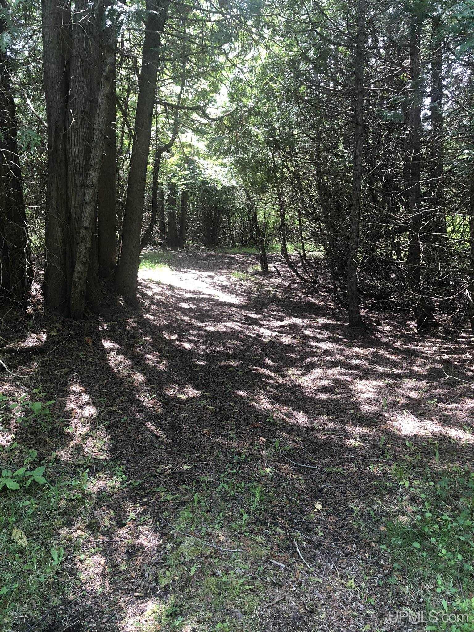 7975 25 Rd Garden Garden, MI 49835 - Photo 82 of 98