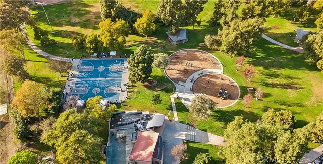 a view of a tree in a yard